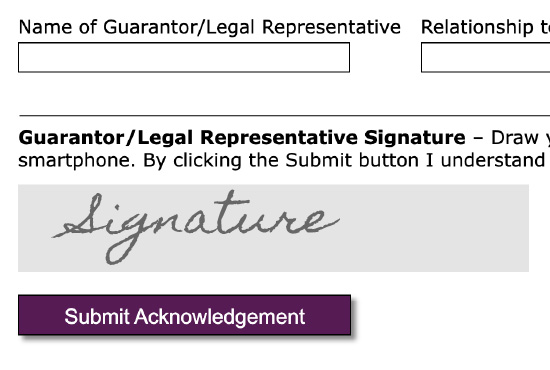 Electronic Signatures